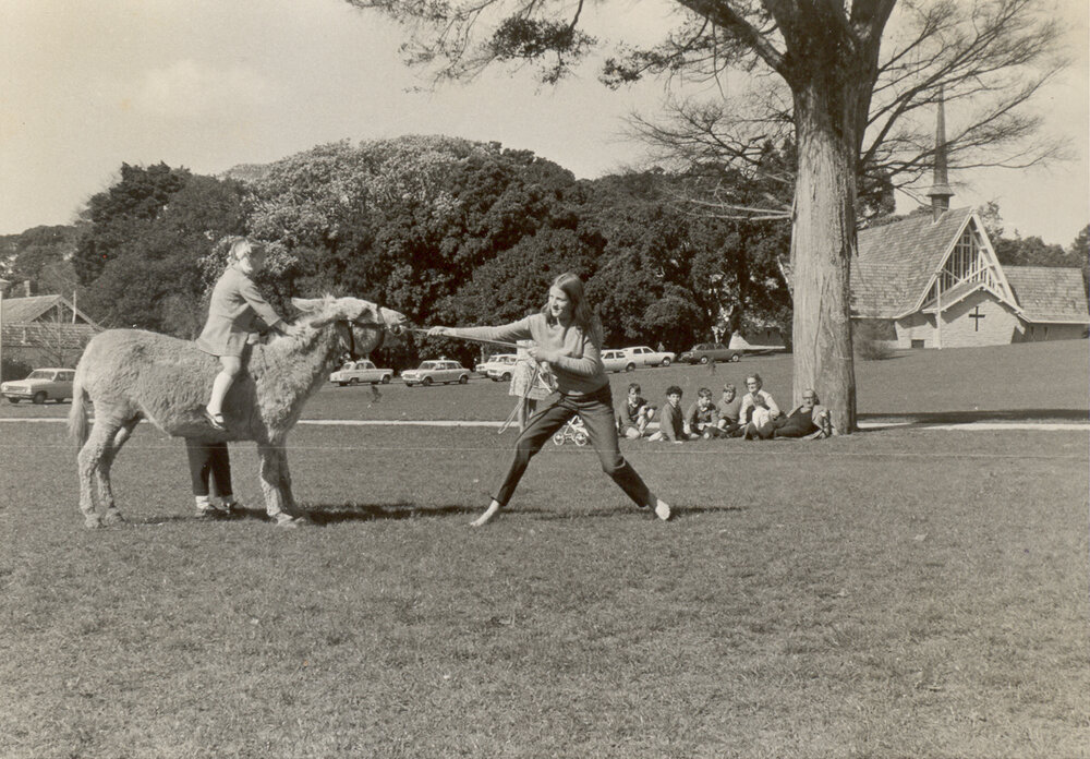 Stubborn donkey on the field