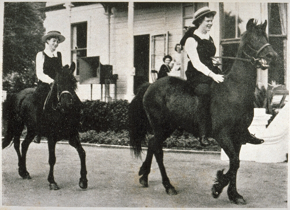 Students commuting on horseback