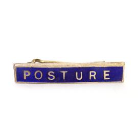 Posture badge